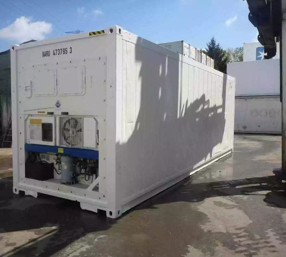 30 Feet Freezer Container Customized Mobile Cold Storage Cell Container / Reefer